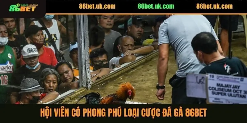 Đá Gà 86BET 2 Hội viên có phong phú loại cược đá gà 86BET