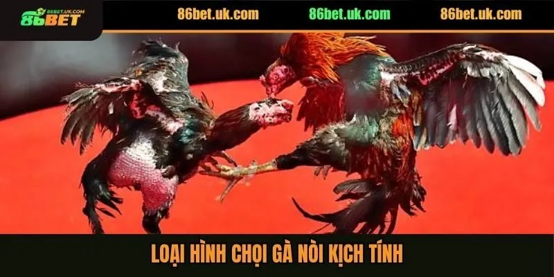 Đá Gà 86BET 3 Loại hình chọi gà nòi kịch tính